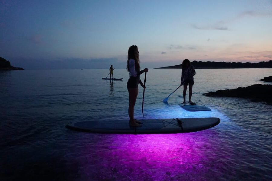 1.5-hour Clear Kayak Rental: Discover the Underwater World - Is $32 fair for 90 minutes?