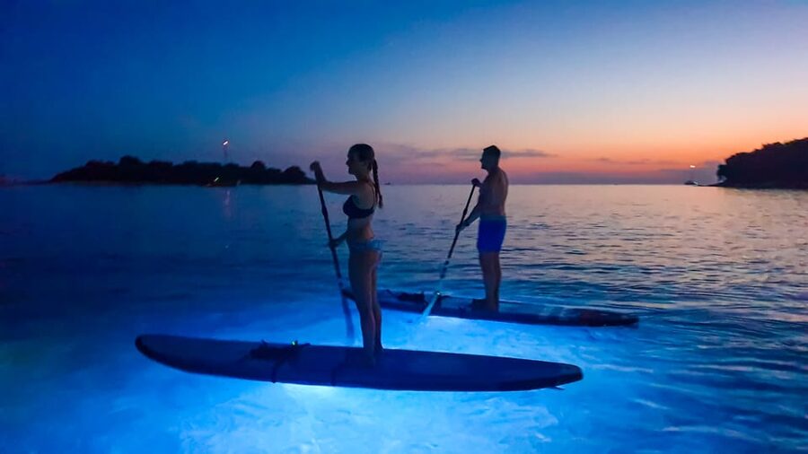 1.5-hour Clear Kayak Rental: Discover the Underwater World - Booking details that matter