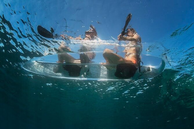 1.5-hour Clear Kayak Rentals: Explore Verudela Cave & Islands - Clear kayak or SUP: check this detail