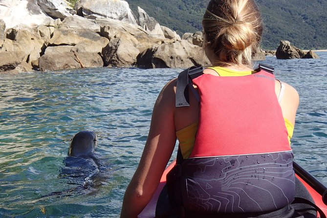 1 Day Sea Kayak Rental - How much value do you get for $74.47?