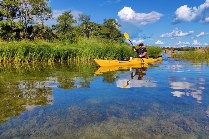 1-Day Small-Group Stockholm Archipelago Kayak Tour - Wildlife and the quieter side of Sweden