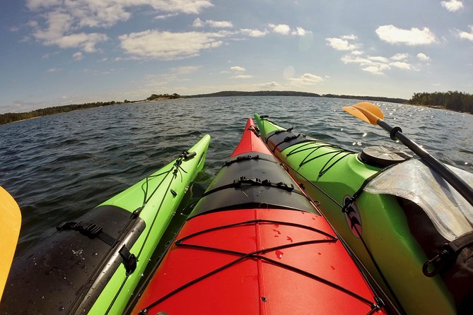 1-Day Small-Group Stockholm Archipelago Kayak Tour - Who should book this day?