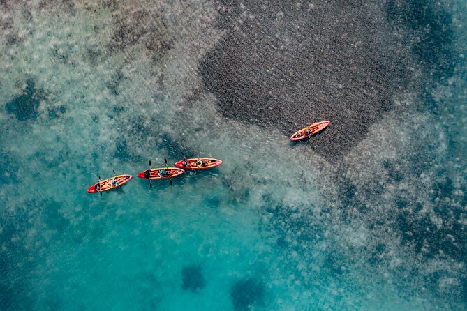 1 Hour Mangrove Kayak Tour - Entering Lac Bay’s protected mangroves