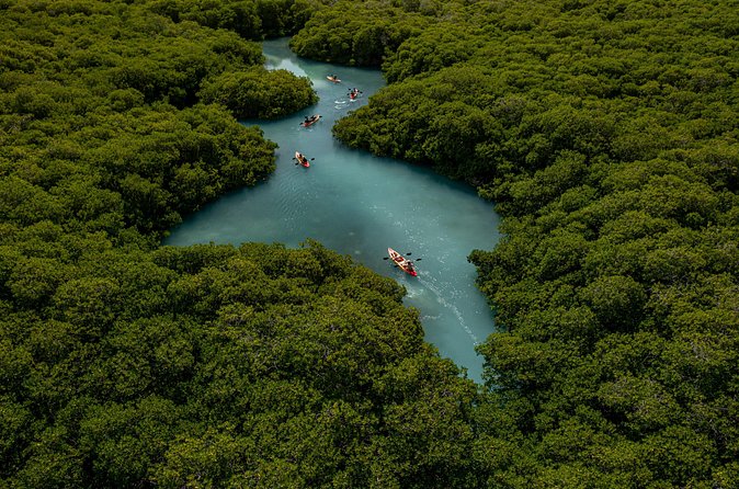 1 Hour Mangrove Kayak Tour - Facilities that make the outing easier