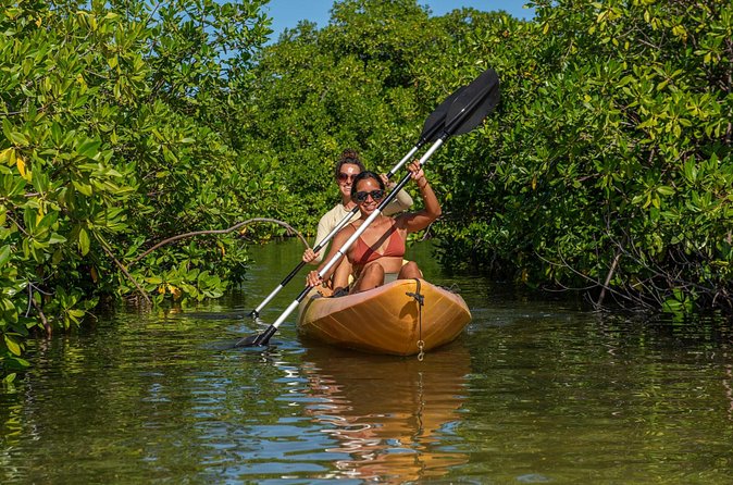 1 Hour Mangrove Kayak Tour - Who will enjoy this Bonaire kayak tour?