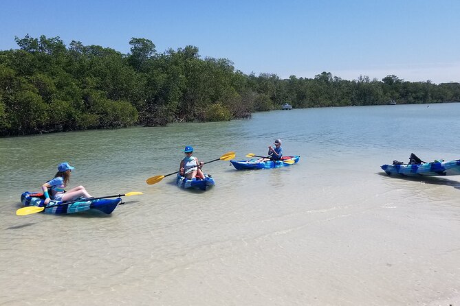2.5-Hour Guided Group Kayak Tour on Big Hickory Pass - Morning and afternoon timing in Fort Myers