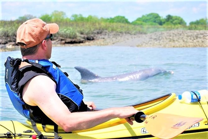 2-Hour Guided Kayak Eco Tour in Charleston - Why Charleston’s Salt Marsh Is Worth Seeing by Kayak