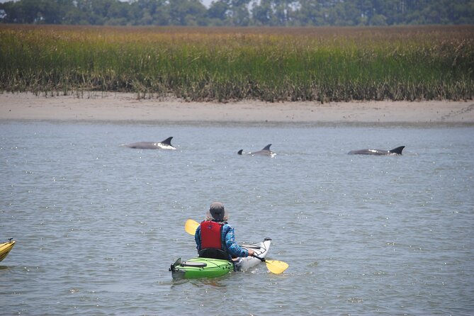 2-Hour Guided Kayak Eco Tour in Charleston - Guides Who Make the Marsh Easier to Read