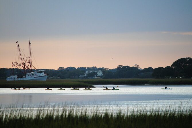 2-Hour Guided Kayak Eco Tour in Charleston - Weather, Wind, and the Right Time to Go