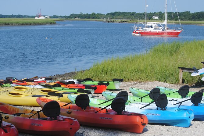 2-Hour Guided Kayak Eco Tour in Charleston - Practical Booking Advice Before You Go