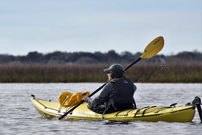 2-Hour Guided Kayak Eco Tour in Charleston - Dolphins, Turtles, Birds, and Pluff Mud