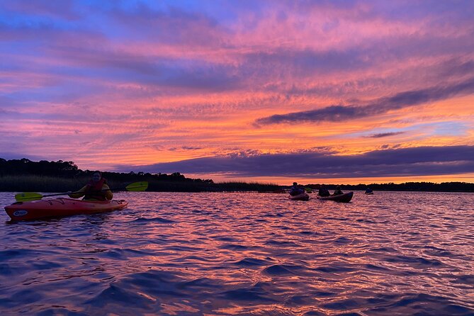 2-Hour Hilton Head Guided Kayak Nature Tour - The guides make the difference