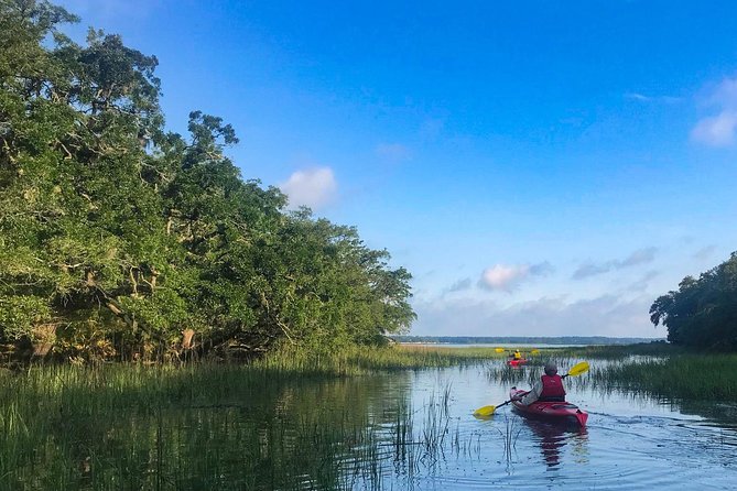 2-Hour Hilton Head Guided Kayak Nature Tour - Is $47 a fair price?