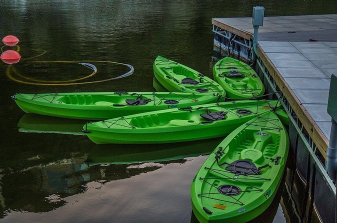 2 Hour Kayak Lessons On Lady Bird Lake - Equipment and group size