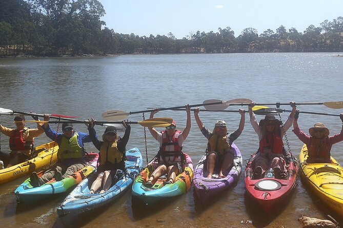 2-Hour Kayaking Experience in Barossa Valley - Choosing Between a Single and Double Kayak