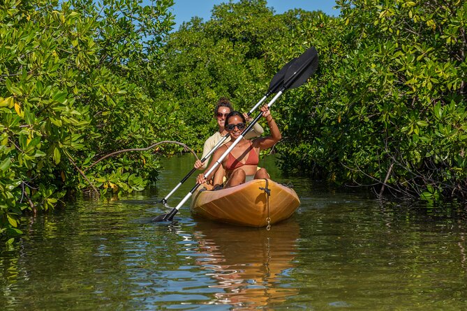 2 Hour Mangrove Kayak and Snorkel Tour - Guide quality and group size