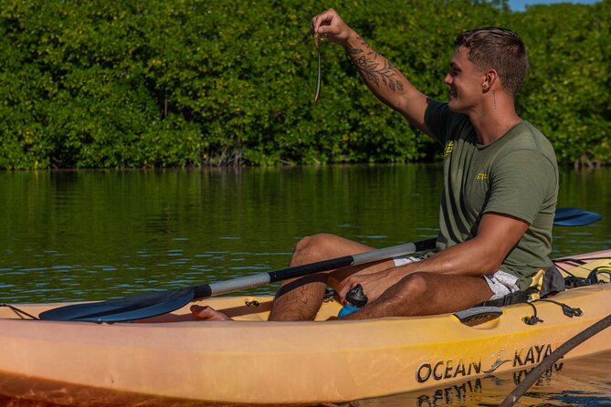 2 Hour Mangrove Kayak and Snorkel Tour - What is included, and what you should bring