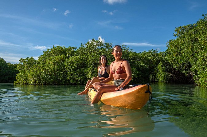 2 Hour Mangrove Kayak and Snorkel Tour - Is $60 a fair price?