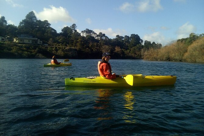 2-Hour Waikato River Guided Kayak Trip from Taupo - Timing, weather, and what to bring
