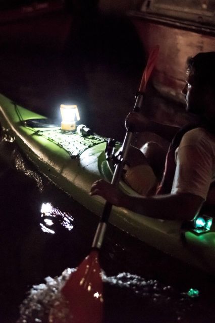2hr Night Kayak Tour in Venice: premium tour with sunset - Why Venice looks better from a kayak