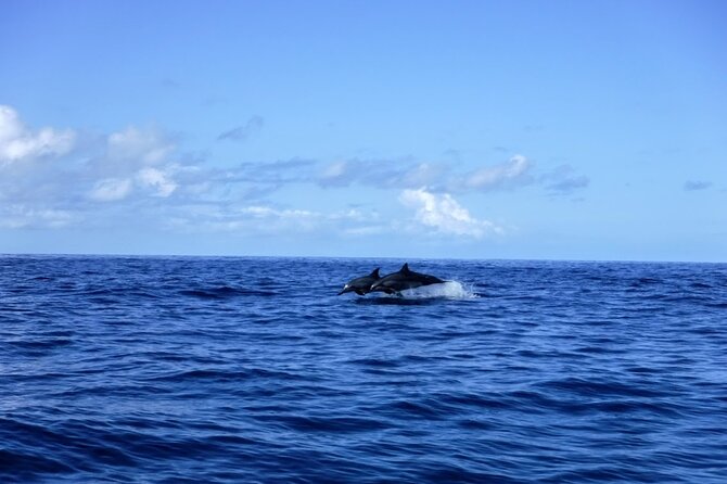3.5 Hour Kailua-Kona Ocean Kayak and Snorkel Tour - How hard is the 3.5-mile paddle?
