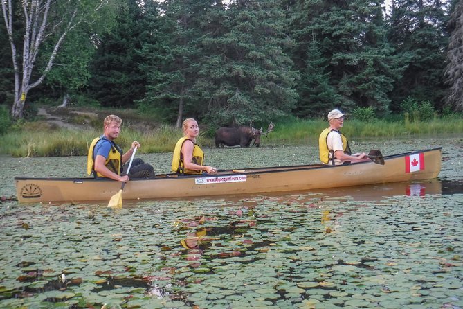 3 Day Algonquin Park Canoe Trip - Moose & Beaver Safari - Meeting at Canoe Lake and learning the basics