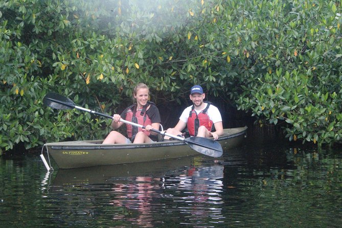 3 Hour Guided Mangrove Tunnel Kayak Eco Tour - Why the mangrove tunnels are the main event