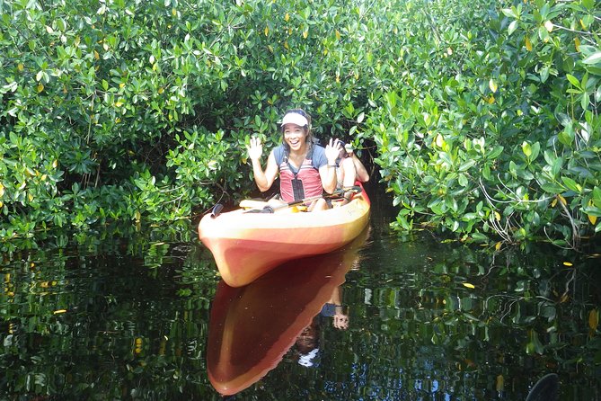 3 Hour Guided Mangrove Tunnel Kayak Eco Tour - Wildlife spotting along the route