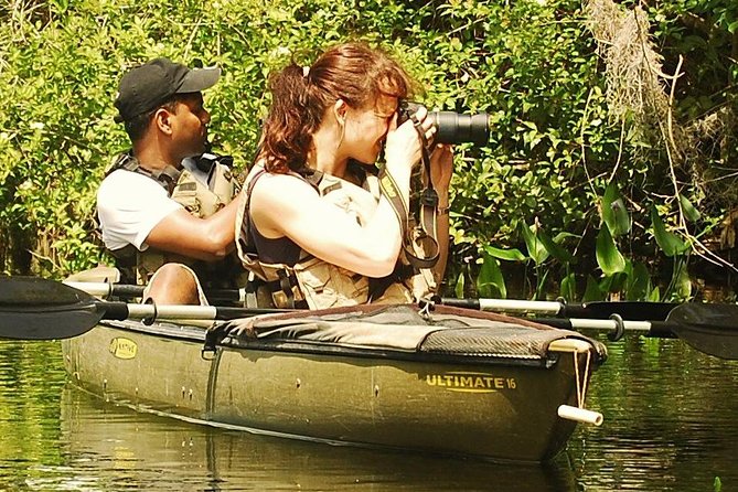 3 Hour Guided Mangrove Tunnel Kayak Eco Tour - Getting to the launch near Everglades City