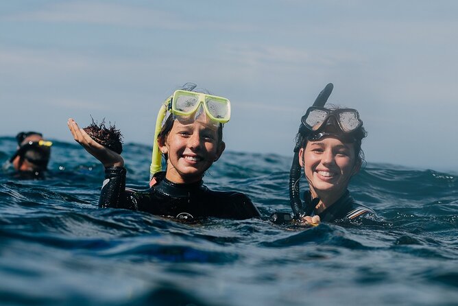 3-Hour Kayak and Snorkeling Experience in Batemans Bay - Key points at a glance