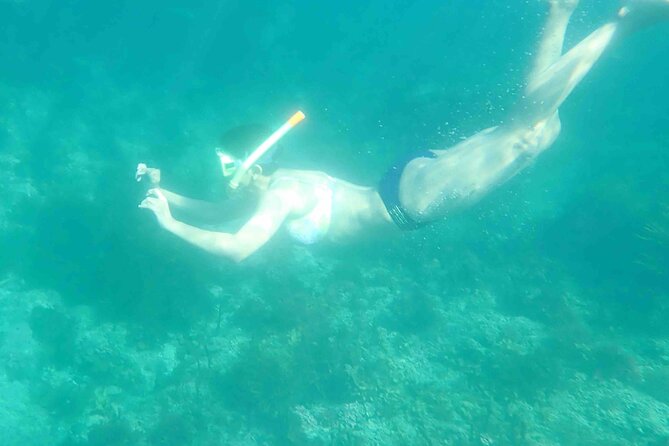 3-Hour Kayak and Snorkeling Experience in Batemans Bay - Is $114.04 good value?