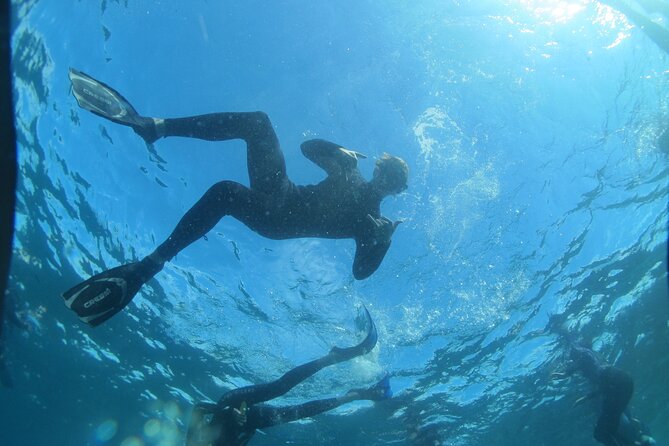 3-Hour Kayak and Snorkeling Experience in Batemans Bay - A realistic 8 am start in Batemans Bay