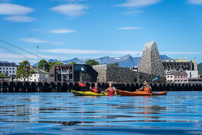 3-Hour Kayak Tour in Åndalsnes - A useful morning in Åndalsnes