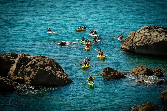 3 Hour of Sea Kayak Trip in the Creeks of Sete - The guides make the difference