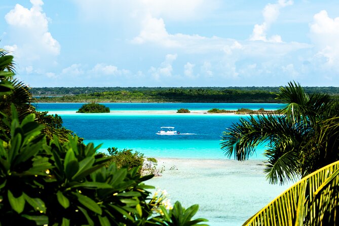 3 hr Pontoon Tour with access to Beach Club and Free Kayaks - Stromatolites and the living history of the lagoon