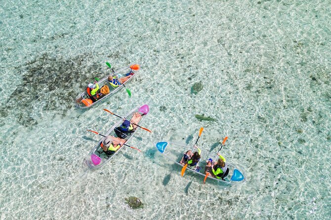 3HR Clear Kayak Mangrove and iguana island Tour in Leeward - Key points to know before booking