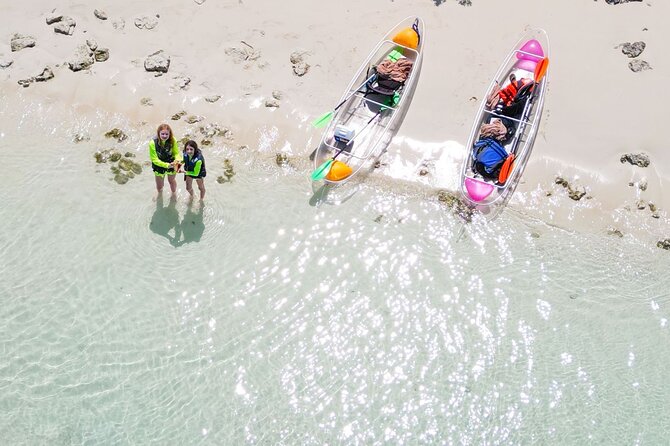 3HR Clear Kayak Mangrove and iguana island Tour in Leeward - Mangrove Cay and the clear kayak wildlife