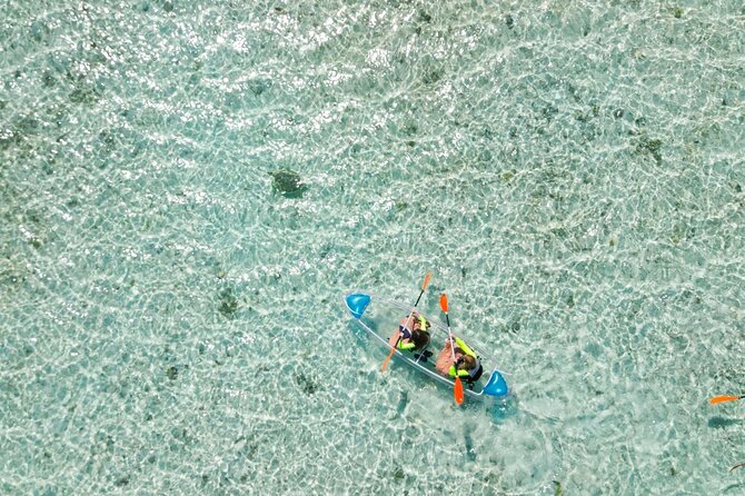 3HR Clear Kayak Mangrove and iguana island Tour in Leeward - The guides make a real difference