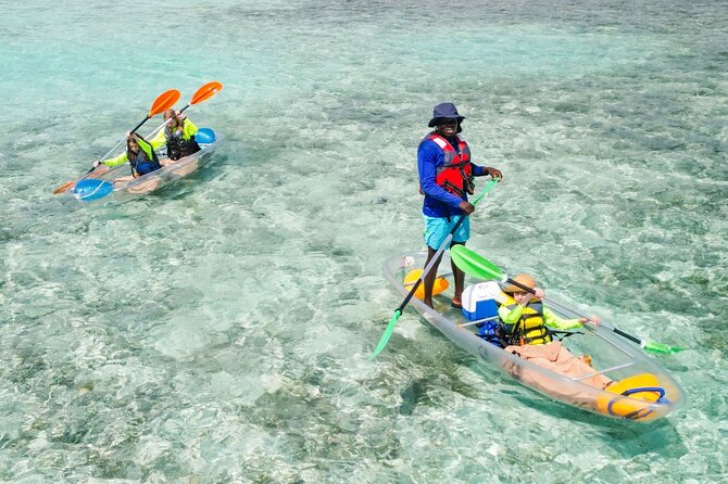 3HR Clear Kayak Mangrove and iguana island Tour in Leeward - Why the tide can change the whole outing