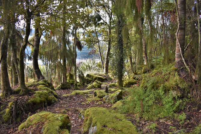 4-hour Lake Mapourika Kayak and Hike adventure, with Okarito Kiwi Sanctuary - Should you book the four-hour adventure?