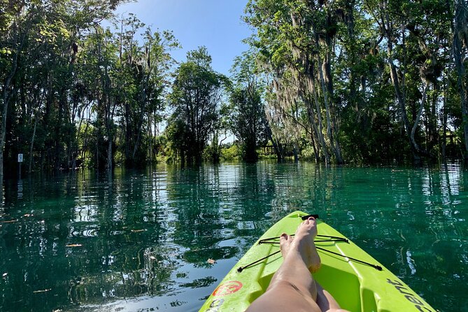 4 Hour Single Kayak Rental In Crystal River, Florida - Getting started at Pete’s Pier Marina