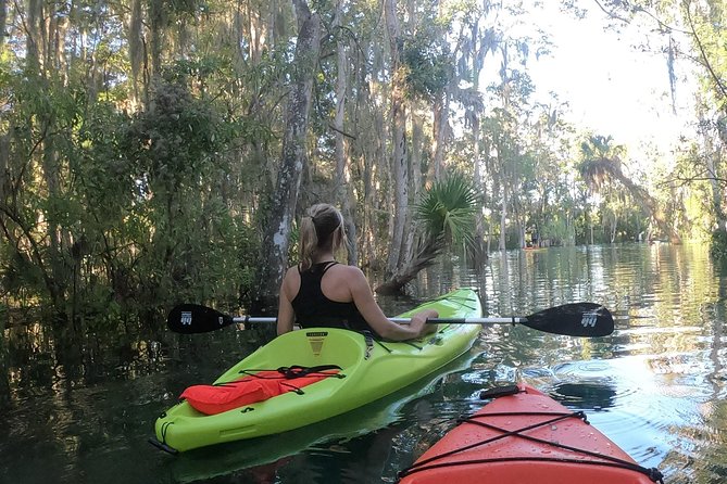 4 Hour Single Kayak Rental In Crystal River, Florida - Kayak comfort and paddling effort