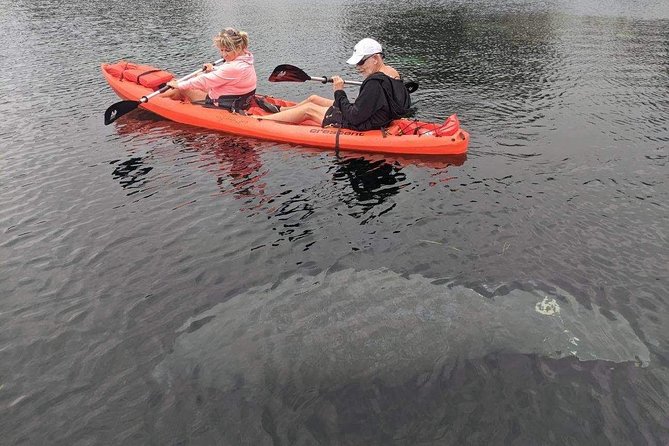 4 Hour Tandem Kayak Rental For Two People In Crystal River, Florida - A self-guided way to meet Crystal River