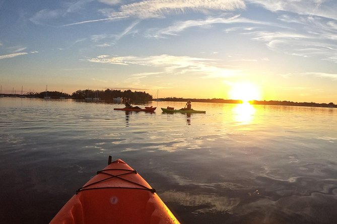 4 Hour Tandem Kayak Rental For Two People In Crystal River, Florida - Manatee season and the Three Sisters Springs rules