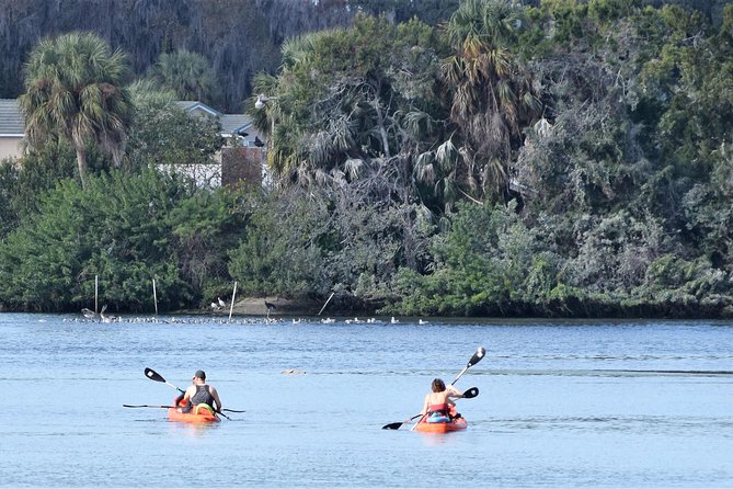 4 Hour Tandem Kayak Rental For Two People In Crystal River, Florida - What the $60 rental includes
