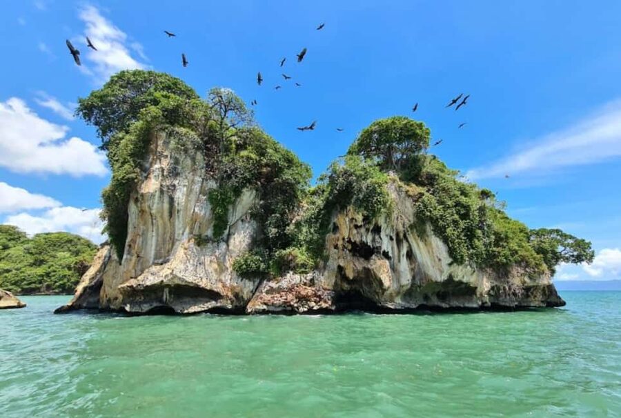 4in1: Los Haitises+ Kayaking+ Natural Pools+ Montana Redonda - Kayaking through the mangroves