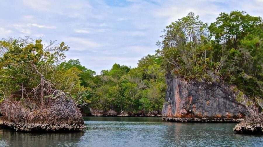 4in1: Los Haitises+ Kayaking+ Natural Pools+ Montana Redonda - Group size, transport, and pace