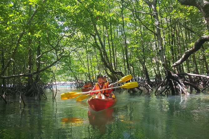 5 Hours Kilim Mangrove Kayaking Sharing Tour (With Hotel Pickup) - Bat Cave adds a short but worthwhile first stop
