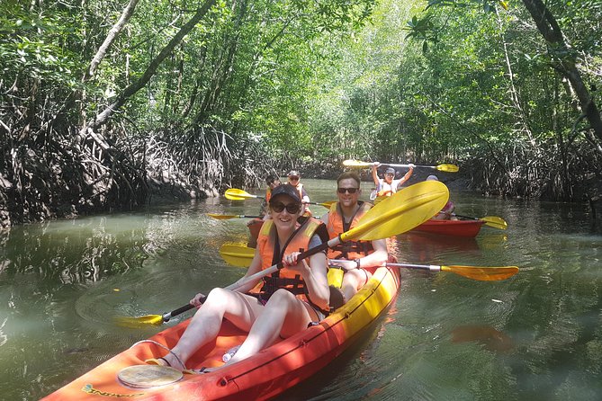 5 Hours Kilim Mangrove Kayaking Sharing Tour (With Hotel Pickup) - What the $80 price gives you