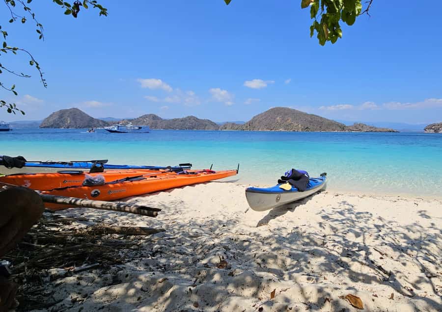 6 Hours Fun Day Kayaking - Should You Book the Six-Hour Kayaking Day?